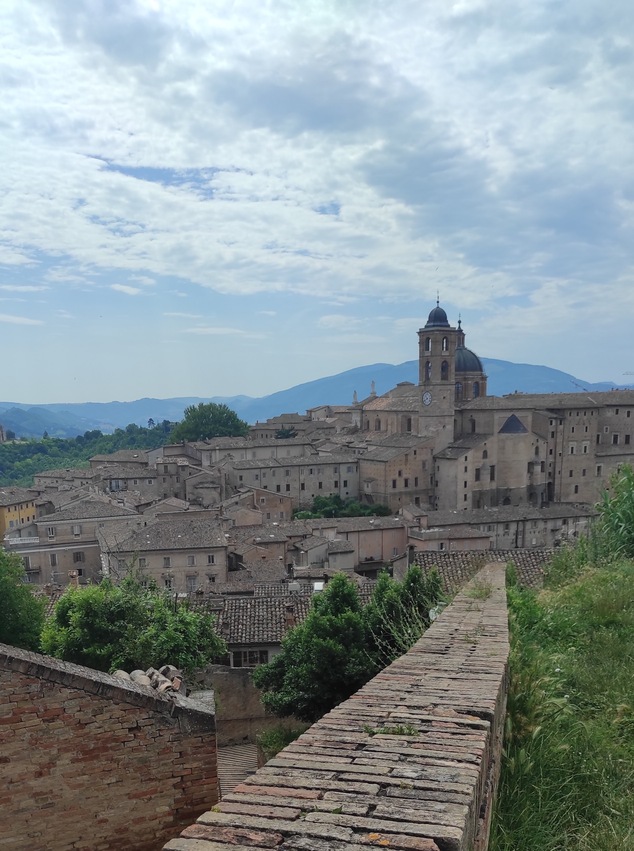 urbino