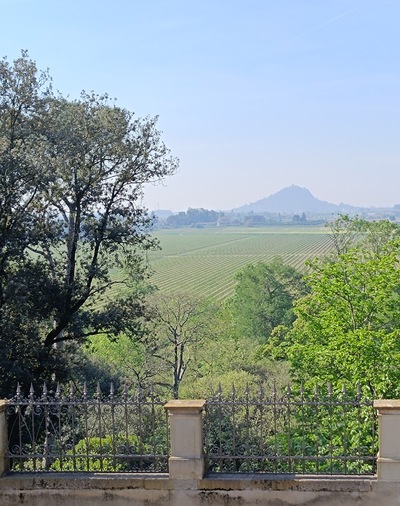 colli euganei