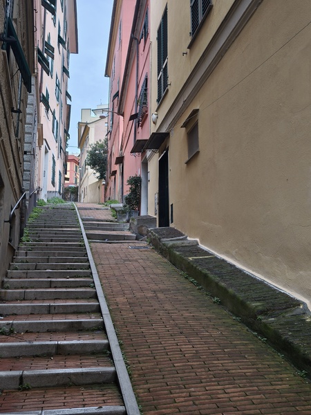 creuze genova creuze genova